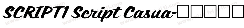 SCRIPT1 Script Casua字体转换